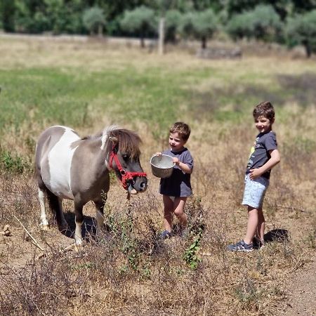 منزل الضيف كاستيلو برانكو  في Arca Dos Animais - Farming & Spa المظهر الخارجي الصورة