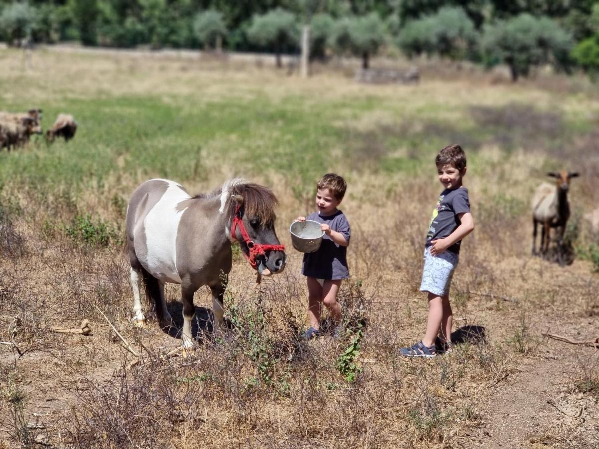 منزل الضيف كاستيلو برانكو  في Arca Dos Animais - Farming & Spa المظهر الخارجي الصورة